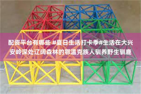 配资平台有哪些 #夏日生活打卡季#生活在大兴安岭深处辽阔森林的鄂温克族人驯养野生驯鹿
