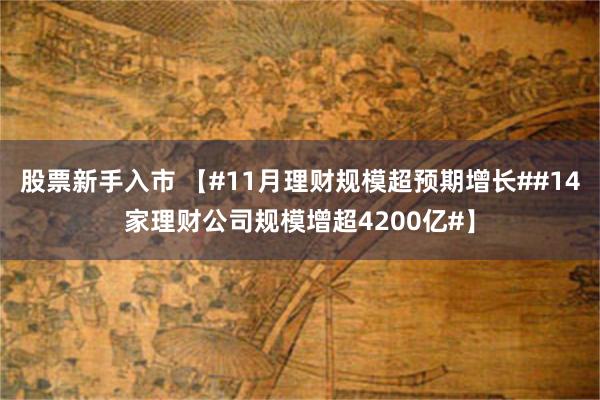 股票新手入市 【#11月理财规模超预期增长##14家理财公司规模增超4200亿#】