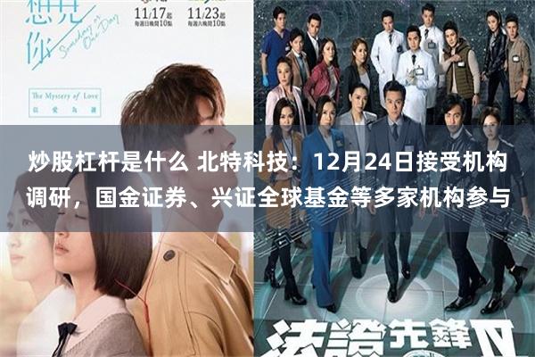 炒股杠杆是什么 北特科技：12月24日接受机构调研，国金证券、兴证全球基金等多家机构参与