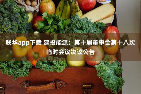 联华app下载 建投能源：第十届董事会第十八次临时会议决议公告