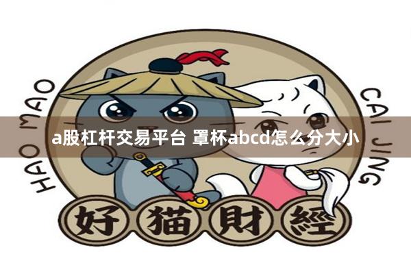 a股杠杆交易平台 罩杯abcd怎么分大小