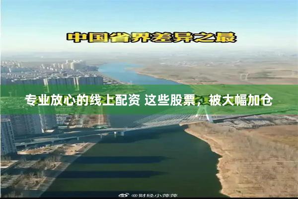 专业放心的线上配资 这些股票，被大幅加仓