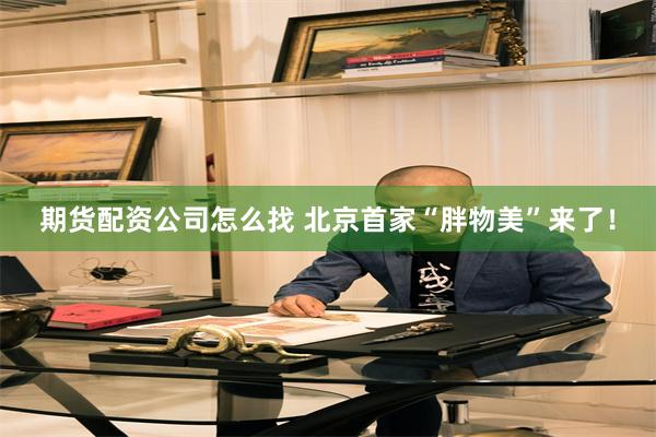 期货配资公司怎么找 北京首家“胖物美”来了！