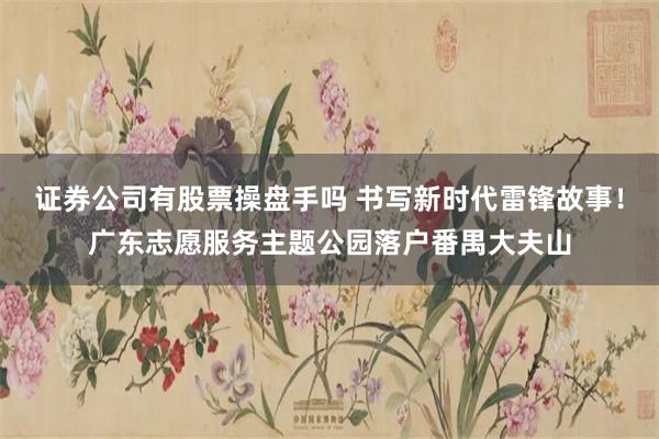 证券公司有股票操盘手吗 书写新时代雷锋故事！广东志愿服务主题公园落户番禺大夫山