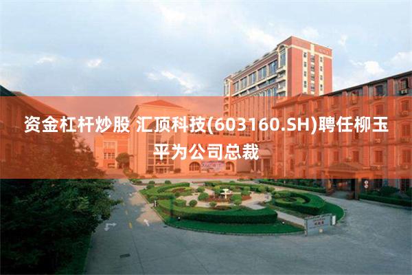资金杠杆炒股 汇顶科技(603160.SH)聘任柳玉平为公司总裁
