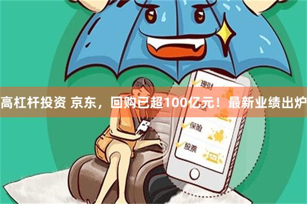 高杠杆投资 京东，回购已超100亿元！最新业绩出炉
