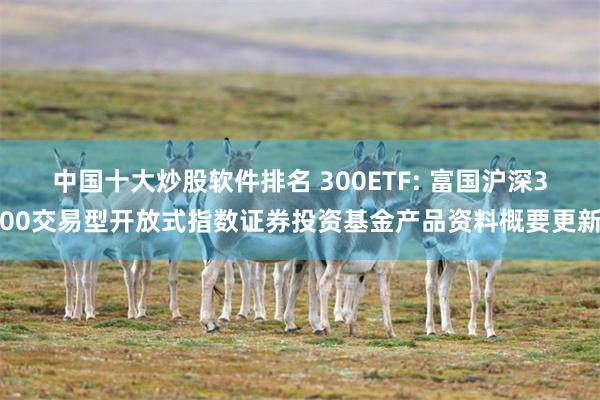 中国十大炒股软件排名 300ETF: 富国沪深300交易型开放式指数证券投资基金产品资料概要更新