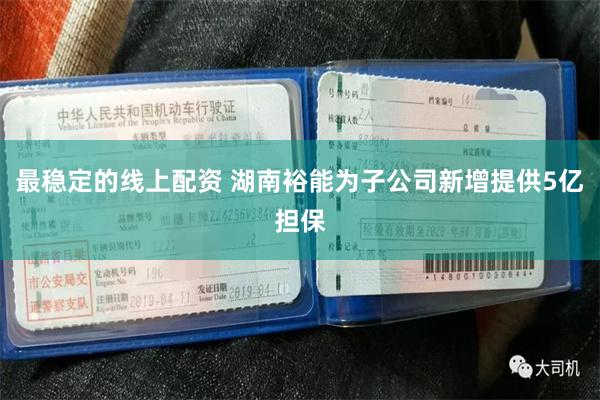 最稳定的线上配资 湖南裕能为子公司新增提供5亿担保