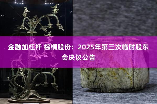 金融加杠杆 棕榈股份：2025年第三次临时股东会决议公告