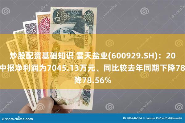 炒股配资基础知识 雪天盐业(600929.SH)：2025年中报净利润为7045.13万元、同比较去年同期下降78.56%