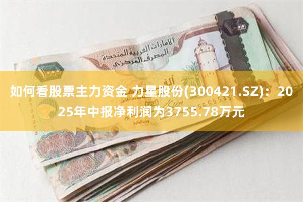 如何看股票主力资金 力星股份(300421.SZ)：2025年中报净利润为3755.78万元
