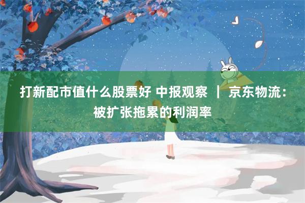 打新配市值什么股票好 中报观察 ｜ 京东物流：被扩张拖累的利润率