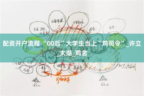 配资开户流程 “00后”大学生当上“鸡司令”_许立_太湖_鸡舍