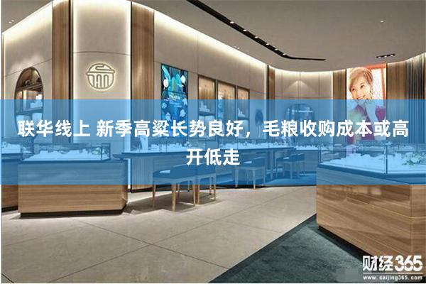 联华线上 新季高粱长势良好，毛粮收购成本或高开低走